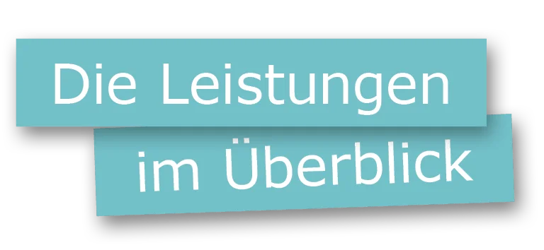 Banner mit türkisfarbenem Hintergrund und weißer Schrift: „Die Leistungen im Überblick“.